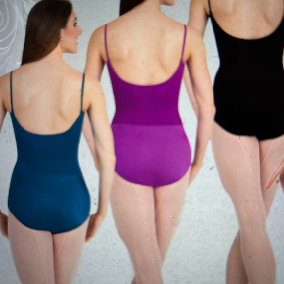 ISO This Leotard- Multiple Colors - Picture 2 of 2